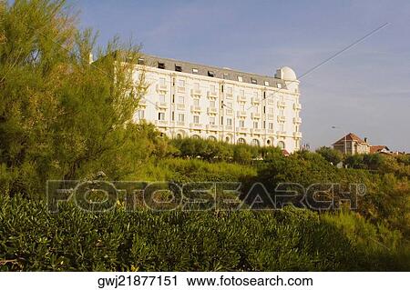 Trees in front of a building, Biarritz, Basque Country, Pyrenees-Atlantiques, Aquitaine, France View Large Photo Image Stock Image - Trees in front of a building, Biarritz, Basque Country, Pyrenees-Atlantiques, Aquitaine, France. Fotosearch