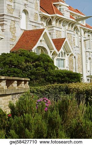 Trees in front of a building, Biarritz, Basque Country, Pyrenees-Atlantiques, Aquitaine, France View Large Photo Image Stock Image - Trees in front of a building, Biarritz, Basque Country, Pyrenees-Atlantiques, Aquitaine, France. Fotosearch