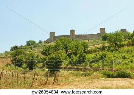 Trees on a hill in front of a fort, Monteriggioni, Siena Province, Tuscany, Italy View Large Photo Image Picture - Trees on a hill in front of a fort, Monteriggioni, Siena Province, Tuscany, Italy. Fotosearch
