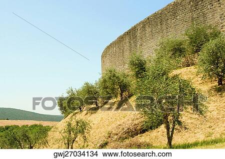 Trees on a hill outside a fort, Monteriggioni, Siena Province, Tuscany, Italy View Large Photo Image Picture - Trees on a hill outside a fort, Monteriggioni, Siena Province, Tuscany, Italy. Fotosearch