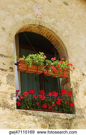 Window boxes on the window of a house, Siena Province, Tuscany, Italy View Large Photo Image Stock Photo - Window boxes on the window of a house, Siena Province, Tuscany, Italy. Fotosearch