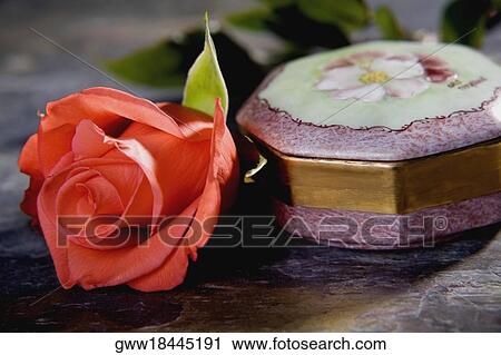 Close-up of a box and a flower View Large Photo Image Stock Image - Close-up of a box and a flower. Fotosearch