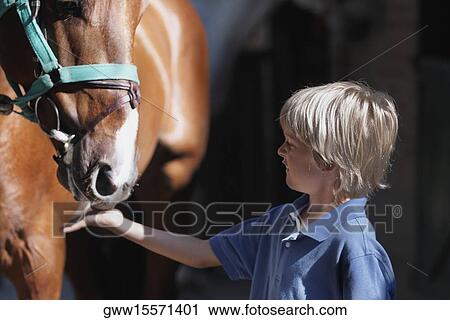 Close-up of a boy feeding a horse View Large Photo Image Stock Image - Close-up of a boy feeding a horse. Fotosearch