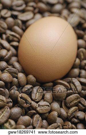 Close-up of a brown egg with coffee beans View Large Photo Image Stock Image - Close-up of a brown egg with coffee beans. Fotosearch