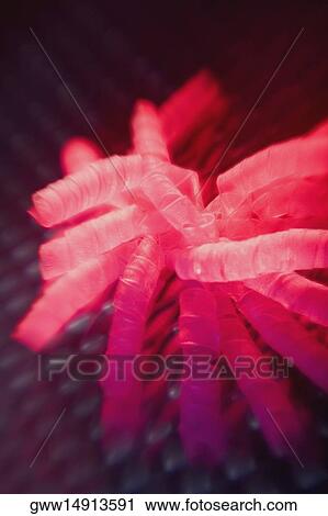 Stock Image - Close-up of a bunch of ribbons. Fotosearch
