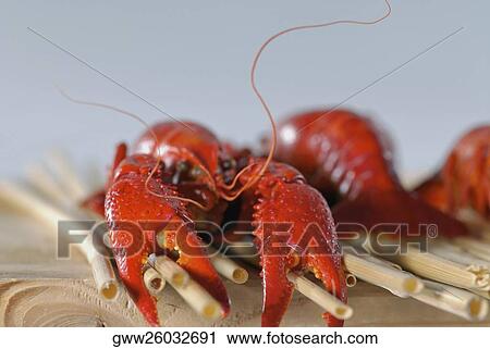 Close-up of a crab on sticks View Large Photo Image Stock Image - Close-up of a crab on sticks. Fotosearch