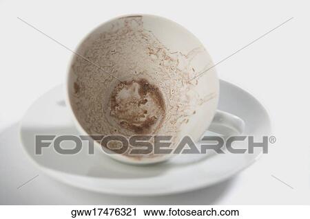 Close-up of a cup in a plate View Large Photo Image Stock Image - Close-up of a cup in a plate. Fotosearch