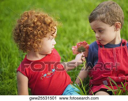 Close-up of a girl giving a flower to her brother View Large Photo Image Stock Image - Close-up of a girl giving a flower to her brother. Fotosearch