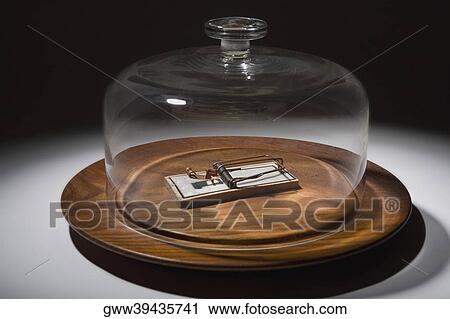 Close-up of a glass container covering a mousetrap on a dish View Large Photo Image Stock Image - Close-up of a glass container covering a mousetrap on a dish. Fotosearch