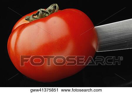 Close-up of a knife cutting a tomato View Large Photo Image Stock Image - Close-up of a knife cutting a tomato. Fotosearch