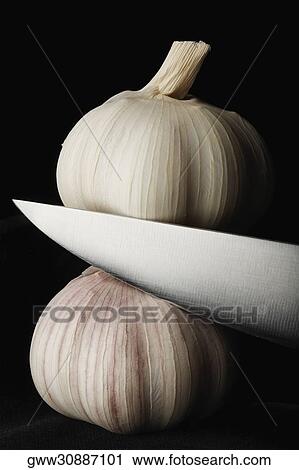 Close-up of a knife cutting garlic View Large Photo Image Stock Image - Close-up of a knife cutting garlic. Fotosearch