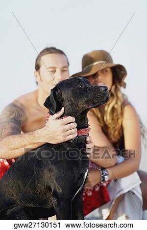 Close-up of a mid adult man stroking a dog with a young woman beside her View Large Photo Image Stock Image - Close-up of a mid adult man stroking a dog with a young woman beside her. Fotosearch