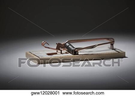 Close-up of a mousetrap View Large Photo Image Stock Image - Close-up of a mousetrap. Fotosearch