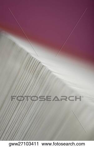 Close-up of a rotary card file View Large Photo Image Stock Image - Close-up of a rotary card file. Fotosearch
