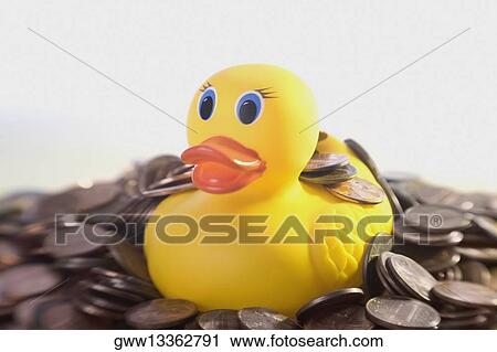 Close-up of a rubber duck on coins View Large Photo Image Stock Image - Close-up of a rubber duck on coins. Fotosearch
