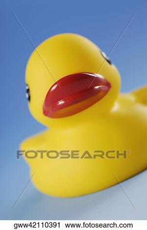 Close-up of a rubber duck View Large Photo Image Stock Image - Close-up of a rubber duck. Fotosearch