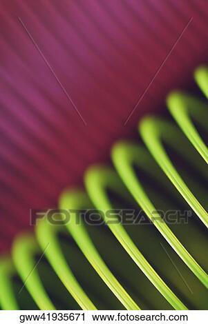 Close-up of a spring View Large Photo Image Stock Image - Close-up of a spring. Fotosearch