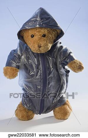 Close-up of a teddy bear View Large Photo Image Stock Image - Close-up of a teddy bear. Fotosearch