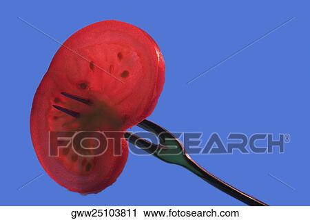 Close-up of a tomato slice with a fork View Large Photo Image Stock Image - Close-up of a tomato slice with a fork. Fotosearch