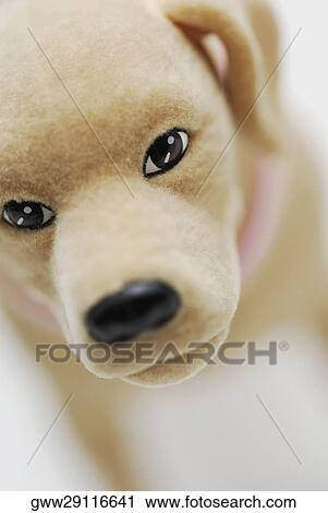 Stock Image - Close-up of a toy dog. Fotosearch