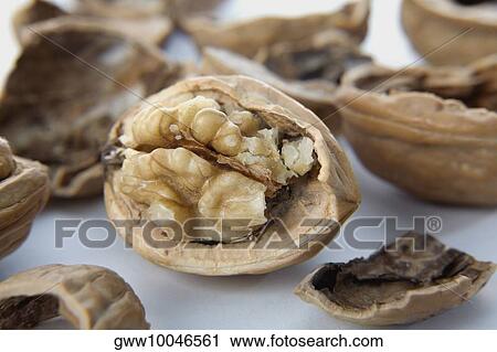 Close-up of a walnut with its shells View Large Photo Image Stock Image - Close-up of a walnut with its shells. Fotosearch