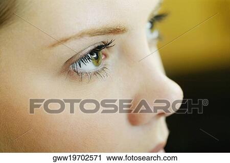 Close-up of a young woman's face View Large Photo Image Stock Image - Close-up of a young woman's face. Fotosearch