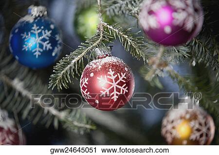 Close-up of Christmas ornaments on a Christmas tree View Large Photo Image Stock Image - Close-up of Christmas ornaments on a Christmas tree. Fotosearch