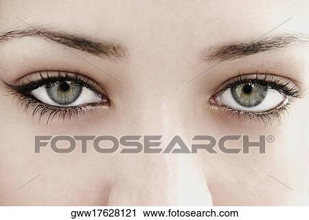 Close-up of human eyes View Large Photo Image Stock Image - Close-up of human eyes. Fotosearch