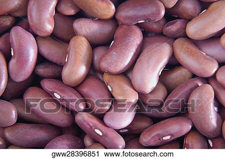 Close-up of kidney beans View Large Photo Image Stock Image - Close-up of kidney beans. Fotosearch