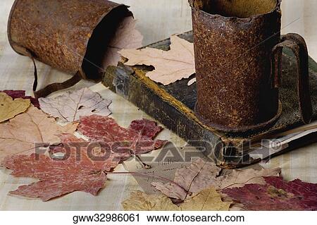 Stock Image - Close-up of maple leaves with a weathered book and cups. Fotosearch