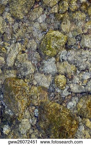 Close-up of moss on rocks View Large Photo Image Stock Image - Close-up of moss on rocks. Fotosearch