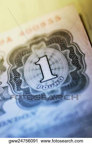 Close-up of one pound note View Large Photo Image Stock Image - Close-up of one pound note. Fotosearch