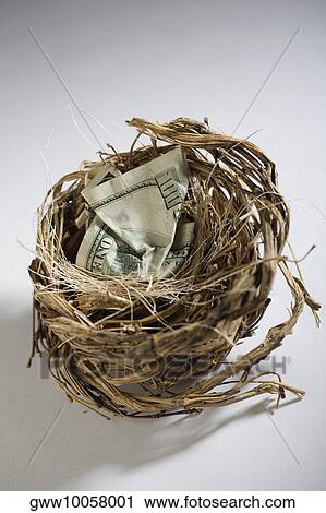 Stock Image - Close-up of paper currency in a bird's nest. Fotosearch