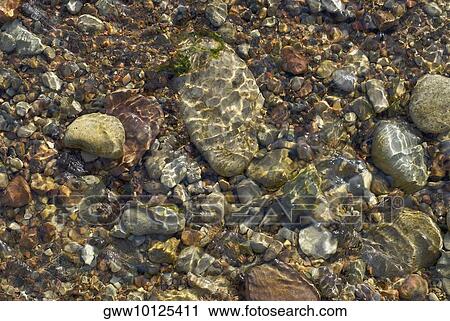 Stock Image - Close-up of pebbles in water. Fotosearch