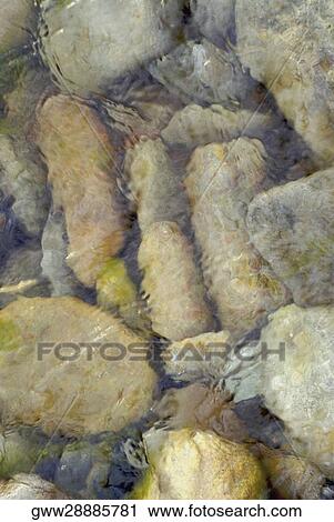 Close-up of pebbles in water View Large Photo Image Stock Image - Close-up of pebbles in water. Fotosearch