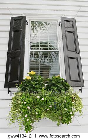 Close-up of potted plants View Large Photo Image Stock Image - Close-up of potted plants. Fotosearch