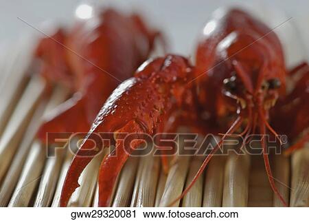 Close-up of the leg of crabs View Large Photo Image Stock Image - Close-up of the leg of crabs. Fotosearch