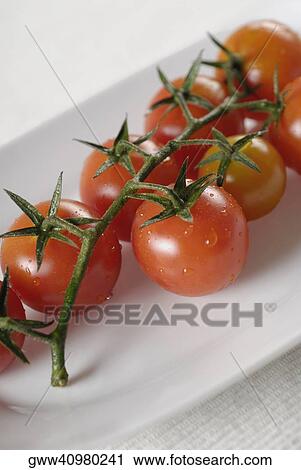 Close-up of tomatoes on a tray View Large Photo Image Stock Image - Close-up of tomatoes on a tray. Fotosearch