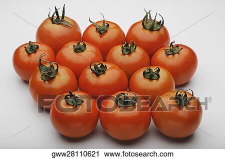 Close-up of tomatoes View Large Photo Image Stock Image - Close-up of tomatoes. Fotosearch