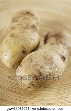 Close-up of two raw potatoes View Large Photo Image Stock Image - Close-up of two raw potatoes. Fotosearch