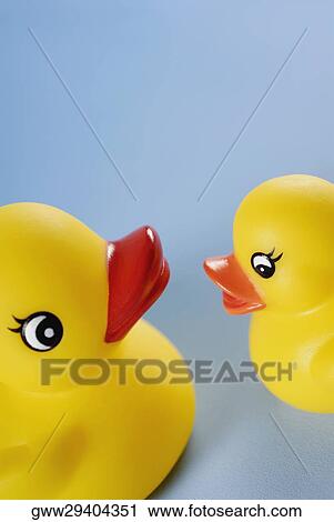 Close-up of two rubber ducks View Large Photo Image Stock Image - Close-up of two rubber ducks. Fotosearch