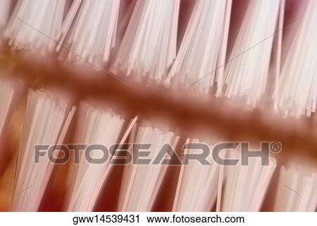 Close-up of two toothbrushes View Large Photo Image Stock Image - Close-up of two toothbrushes. Fotosearch