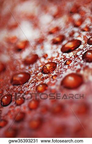 Close-up of water droplets on a red surface View Large Photo Image Stock Image - Close-up of water droplets on a red surface. Fotosearch