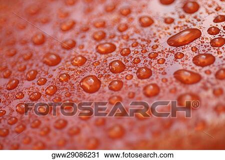 Close-up of water droplets on a wet surface View Large Photo Image Stock Image - Close-up of water droplets on a wet surface. Fotosearch