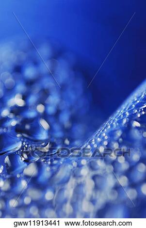 Stock Image - Close-up of water drops. Fotosearch