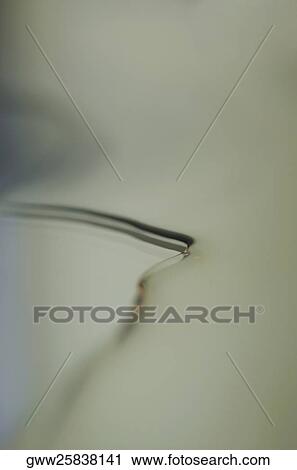 High angle view of a broken glass View Large Photo Image Stock Image - High angle view of a broken glass. Fotosearch