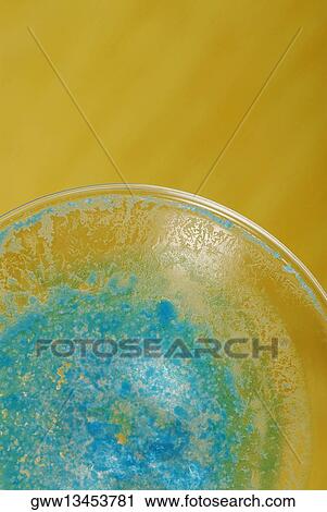 Stock Image - High angle view of a glass bowl. Fotosearch