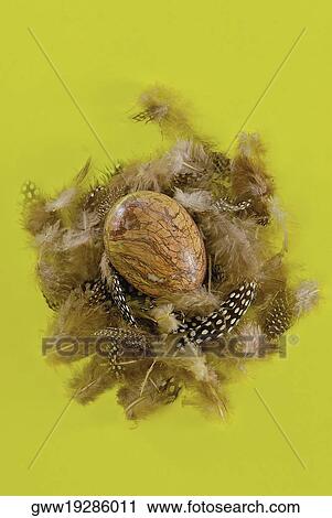 High angle view of an Easter egg View Large Photo Image Stock Image - High angle view of an Easter egg. Fotosearch