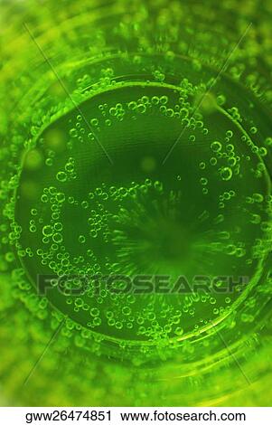 High angle view of bubbles in a glass of soda View Large Photo Image Stock Image - High angle view of bubbles in a glass of soda. Fotosearch