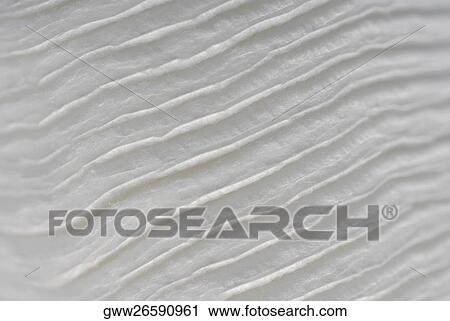 Stock Image - High angle view of rippled icy surface. Fotosearch
